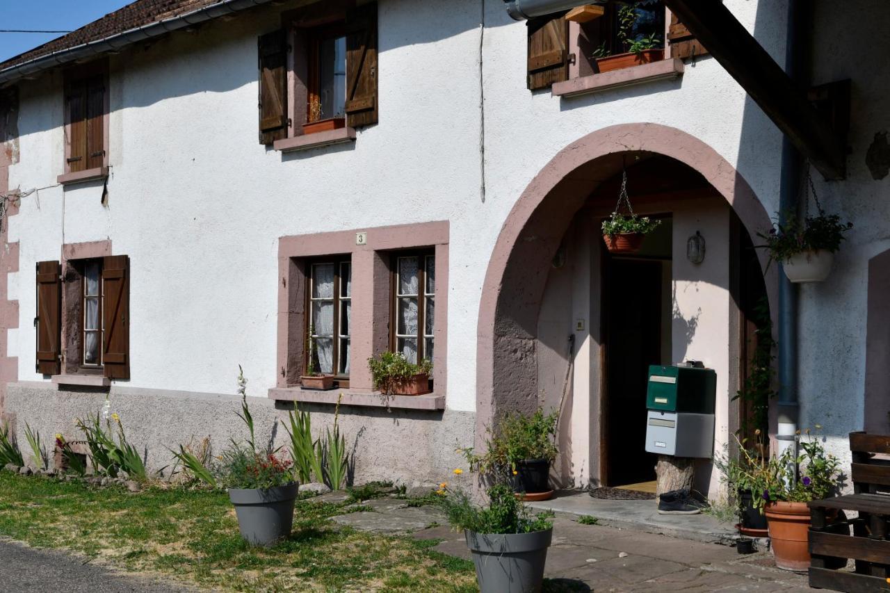Ferme De Ma Grand-Mere Le Haut-du-Them 外观 照片